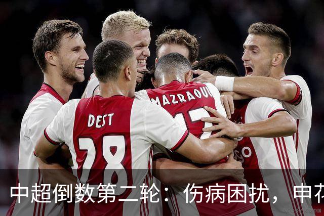 中超倒数第二轮：伤病困扰，申花与国安失去关键球员